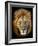 Masai Mara Lions-Kyslynskyy-Framed Photographic Print