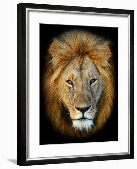 Masai Mara Lions-Kyslynskyy-Framed Photographic Print