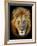 Masai Mara Lions-Kyslynskyy-Framed Photographic Print