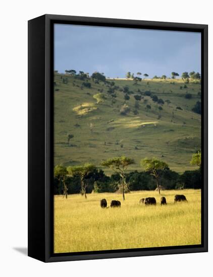 Masai Mara National Reserve, Kenya, East Africa, Africa-Harding Robert-Framed Premier Image Canvas