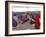 Masai Market, Arusha, Tanzania, East Africa, Africa-Groenendijk Peter-Framed Photographic Print