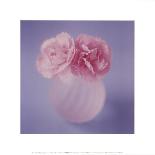 Carnations-Masao Ota-Framed Art Print