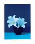 Serene Lily-Masao Ota-Mounted Giclee Print