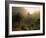 Masca, Tenerife, Canary Islands, Spain-Alan Copson-Framed Photographic Print