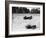 Maserati and Bugatti in Action at Brooklands, Surrey, 1933-null-Framed Photographic Print