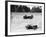 Maserati and Bugatti in Action at Brooklands, Surrey, 1933-null-Framed Photographic Print