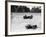 Maserati and Bugatti in Action at Brooklands, Surrey, 1933-null-Framed Photographic Print