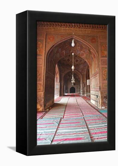 Masjid Wazir Khan, Lahore, Pakistan-Yasir Nisar-Framed Premier Image Canvas