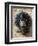 Mask, Bambara Art, Mali-null-Framed Giclee Print