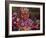 Mask Dance Performance at Tshechu Festival, Punakha Dzong, Punakha, Bhutan-Keren Su-Framed Photographic Print