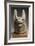 Mask  Dog, Anubis or Qebehsenuef to Movable Jaw-null-Framed Giclee Print