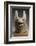 Mask  Dog, Anubis or Qebehsenuef to Movable Jaw-null-Framed Giclee Print