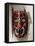 Mask of a Deer Used by the Mayo Peoples of the Sonora and Sinalo States of Mexico-Mexican School-Framed Premier Image Canvas