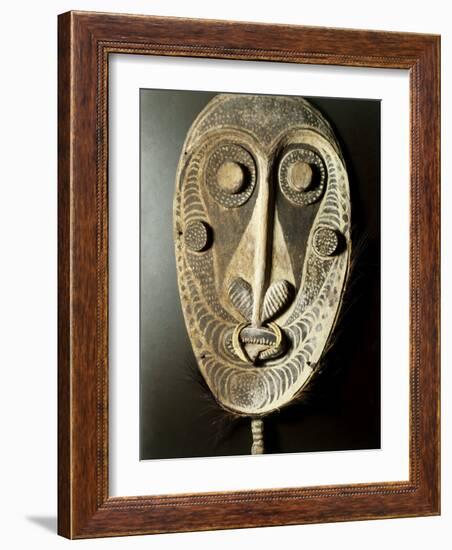 Mask-null-Framed Photographic Print