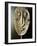 Mask-null-Framed Photographic Print