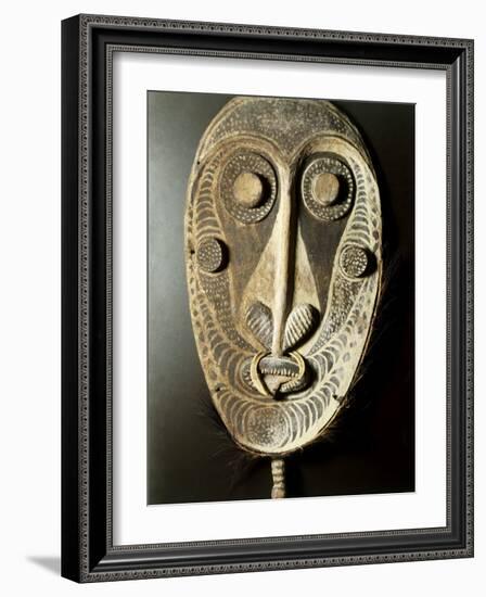 Mask-null-Framed Photographic Print