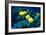 Masked Butterfly Fish-Peter Scoones-Framed Photographic Print