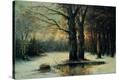 Stretched Canvas Print