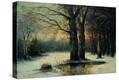 Stretched Canvas Print