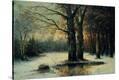 Stretched Canvas Print