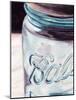 Mason Jar II-Redstreake-Mounted Art Print