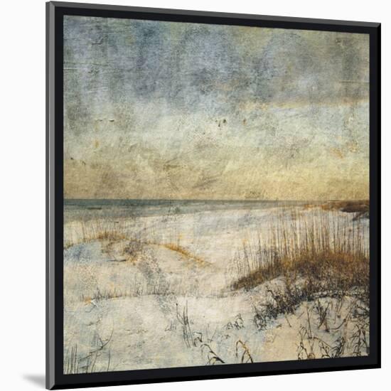 Masonboro Island No. 15-John W^ Golden-Mounted Art Print