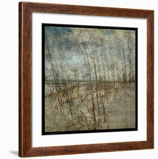 Masonboro Island No. 6-John W^ Golden-Framed Art Print