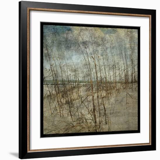 Masonboro Island No. 6-John W^ Golden-Framed Art Print