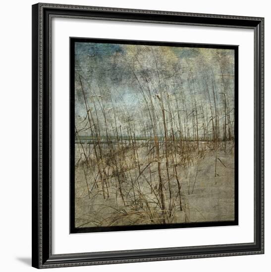 Masonboro Island No. 6-John W^ Golden-Framed Art Print