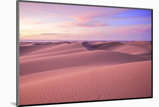 Maspalomas Sand Dunes, Gran Canaria, Canary Islands, Spain, Atlantic Ocean, Europe-Neil Farrin-Mounted Photographic Print