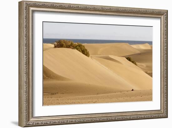 Maspalomas Sand Dunes, Gran Canaria, Canary Islands, Spain-Peter Thompson-Framed Photographic Print