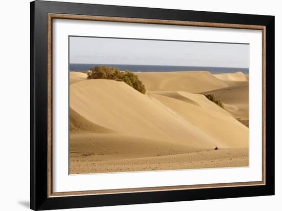 Maspalomas Sand Dunes, Gran Canaria, Canary Islands, Spain-Peter Thompson-Framed Photographic Print