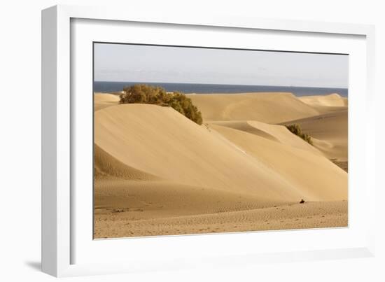 Maspalomas Sand Dunes, Gran Canaria, Canary Islands, Spain-Peter Thompson-Framed Photographic Print