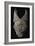 Masque Janus-null-Framed Giclee Print