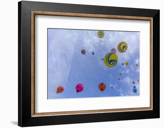 Mass Ascension at the Albuquerque Balloon Fiesta in Albuquerque, New Mexico, Usa-Chuck Haney-Framed Photographic Print