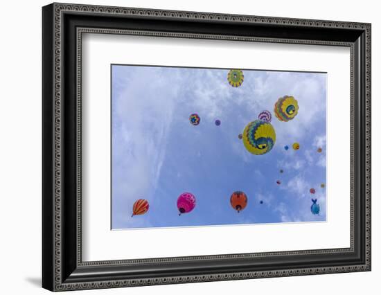 Mass Ascension at the Albuquerque Balloon Fiesta in Albuquerque, New Mexico, Usa-Chuck Haney-Framed Photographic Print