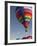 Mass Ascension at the Albuquerque Hot Air Balloon Fiesta, New Mexico, USA-William Sutton-Framed Photographic Print