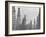 Mass of Oil Derricks at Spindletop Oil Field-null-Framed Premium Photographic Print