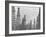 Mass of Oil Derricks at Spindletop Oil Field-null-Framed Photographic Print