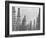 Mass of Oil Derricks at Spindletop Oil Field-null-Framed Photographic Print