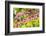 Massachusetts, Boston, Arnold Arboretum, Bleeding Heart-Jim Engelbrecht-Framed Photographic Print