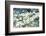 Massachusetts, Boston, Arnold Arboretum, Dogwood Tree-Jim Engelbrecht-Framed Photographic Print