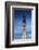 Massachusetts, Cape Cod, Provincetown, Pilgrim Monument-Walter Bibikow-Framed Photographic Print