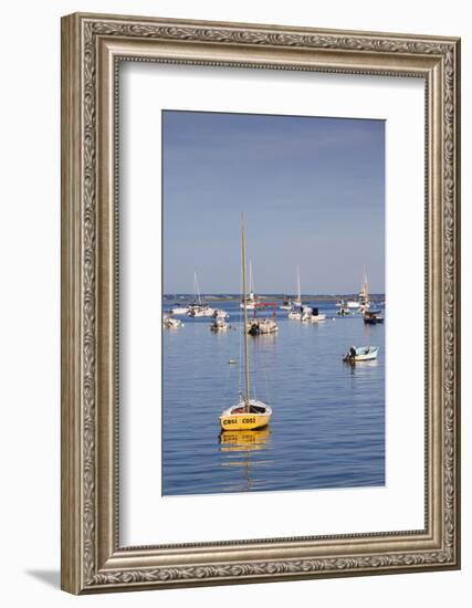 Massachusetts, Cape Cod, Provincetown, the West End, Boats-Walter Bibikow-Framed Photographic Print