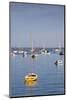 Massachusetts, Cape Cod, Provincetown, the West End, Boats-Walter Bibikow-Mounted Photographic Print