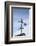 Massachusetts, Cape Cod, Provincetown, the West End, Weather Vane-Walter Bibikow-Framed Photographic Print