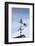 Massachusetts, Cape Cod, Provincetown, the West End, Weather Vane-Walter Bibikow-Framed Photographic Print