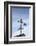 Massachusetts, Cape Cod, Provincetown, the West End, Weather Vane-Walter Bibikow-Framed Photographic Print