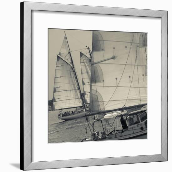 Massachusetts, Gloucester, Schooner Festival, Sail Boats-Walter Bibikow-Framed Photographic Print