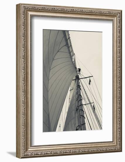 Massachusetts, Gloucester, Schooner Festival, Sailing Ship Lookout-Walter Bibikow-Framed Photographic Print